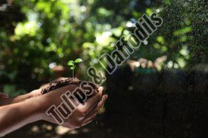 Liquid Bio Fertilizer 10Ltrs