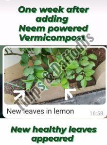 Neem Powered Vermicompost- Bulk Supply