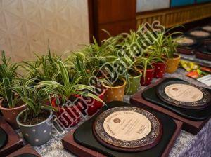 ceramic planter