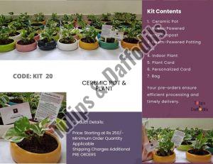 ceramic planter