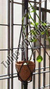 Garden Pottery Planter