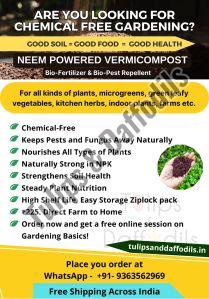 Neem Powered Vermicompost- Bulk Supply