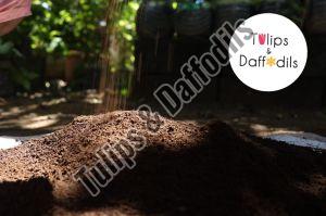 Neem Powered Potting Soil