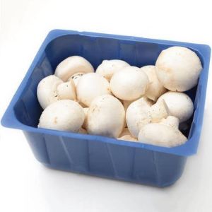 Plastic Mushroom tray