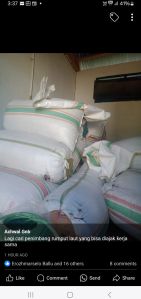 Seaweed Fertilizer
