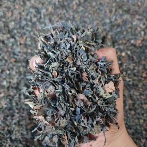 Seaweed Fertilizer