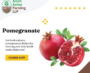 Fresh pomegranate