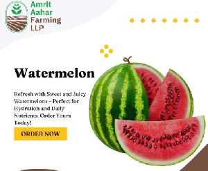 Fresh Watermelon