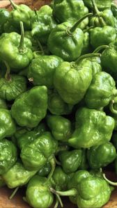 Carolina Reaper Bell Pepper