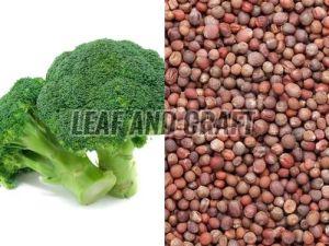 Broccoli Seeds