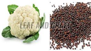 Cauliflower Seeds