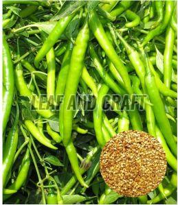 Green Chilli Seeds