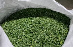 Shade Dried Organic Moringa Leaves
