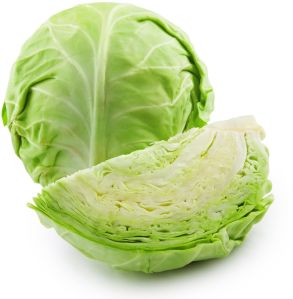 Fresh Cabbage