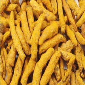 dried turmeric finger