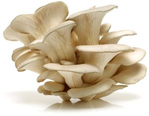 Sun Dry Oyster Mushroom