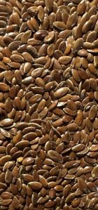 linseed flax seed