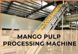 Mango Pulp Processing Plant