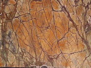 Rainforest Brown Marble