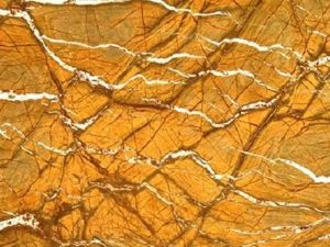 Rainforest Gold Marble