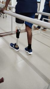 Artificial Legs