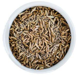 Cumin Seeds