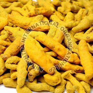 dry turmeric finger