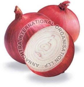 Fresh Red Onion