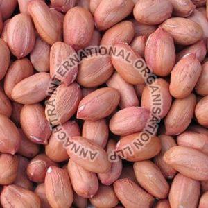 Java Groundnut