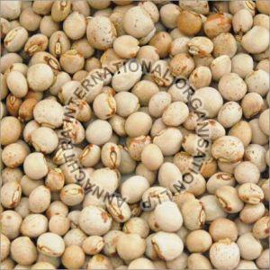 Pigeon Peas