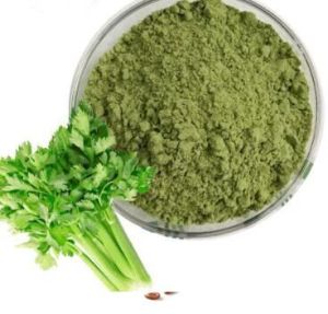 Celery Leaves Powder