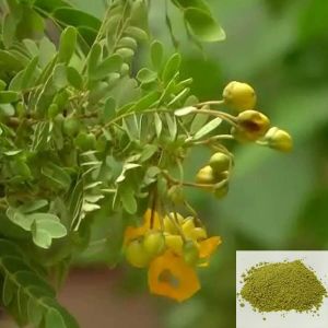 Aavarai / Matura Tea Tree Powder