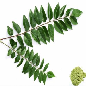 Karuvepillai / Curry Leaves Powder