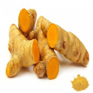 Wild Turmeric Powder