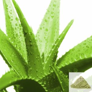 aloevera powder