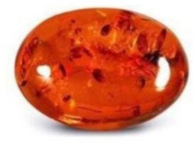 Amber Gemstone