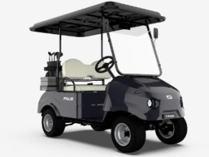 electric golf cart