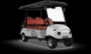 6-Seater Electric Passenger Cart Buggy