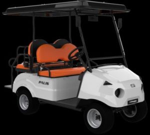 Palis 4-Seater Passenger electric cart