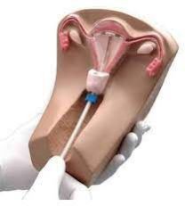 IUD Training Simulator