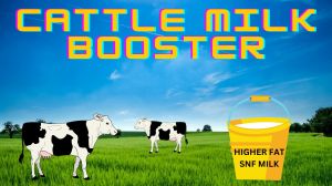 Doodh Vardhan Cattle Milk Booster