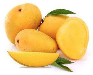 Banginapalli Mangoes