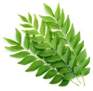 Curry Leaves