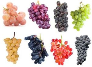 grapes fruits