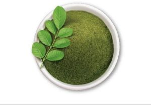 Moringa Powder