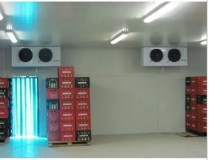 Fully Automatic Cold Storage Room