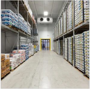 Industrial Cold Storage Room