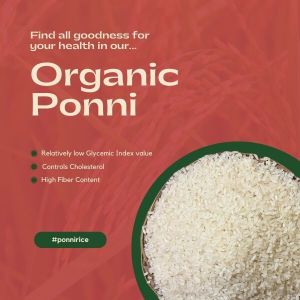 Organic Ponni Rice Semi Polished