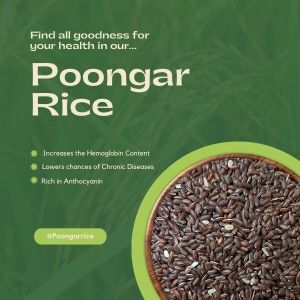 Organic Poongar Rice