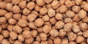 Desi Chickpeas